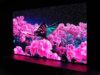 Samsung Micro LED: le ultime notizie sull’uscita del TV da 89 pollici